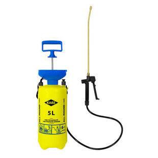 PAINERUISKU 5,0L
